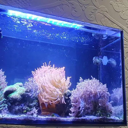 Bed&coffee&go Homestay szállás *