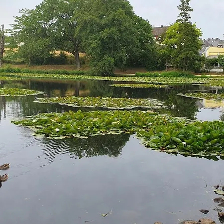 Homestay szállás Bed&coffee&go *