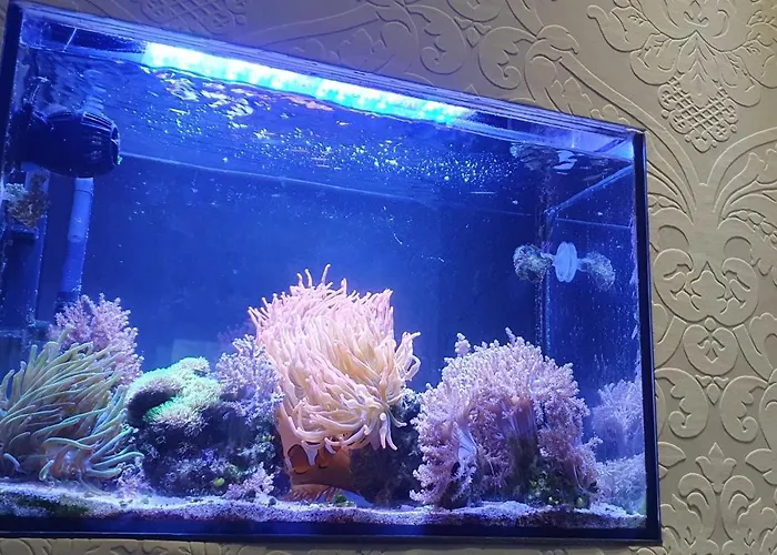 Bed&coffee&go Homestay szállás *