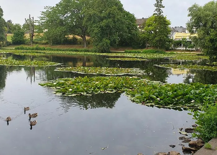 Homestay szállás Bed&coffee&go *